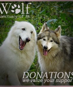 Donate Monthly