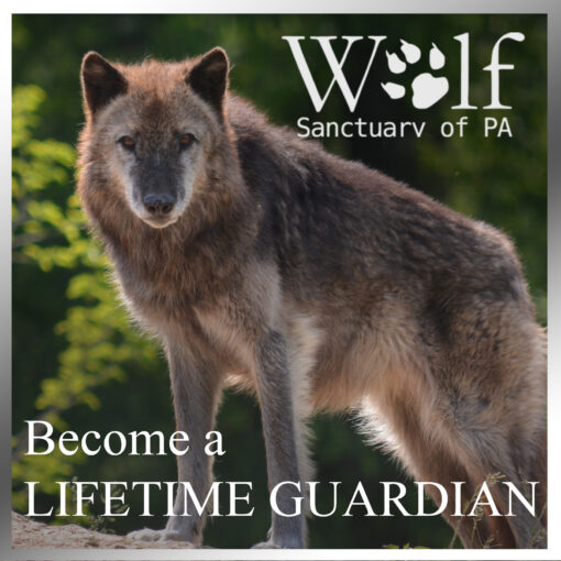 Become a Lifetime Guardian
